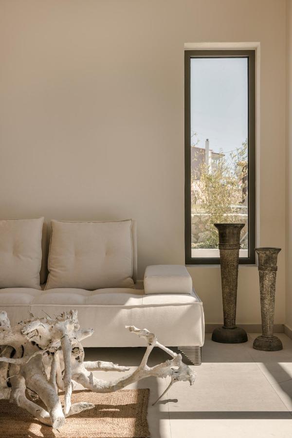 Spathes Suites Kefalonia - Luxury Suites Ratzaklíon エクステリア 写真