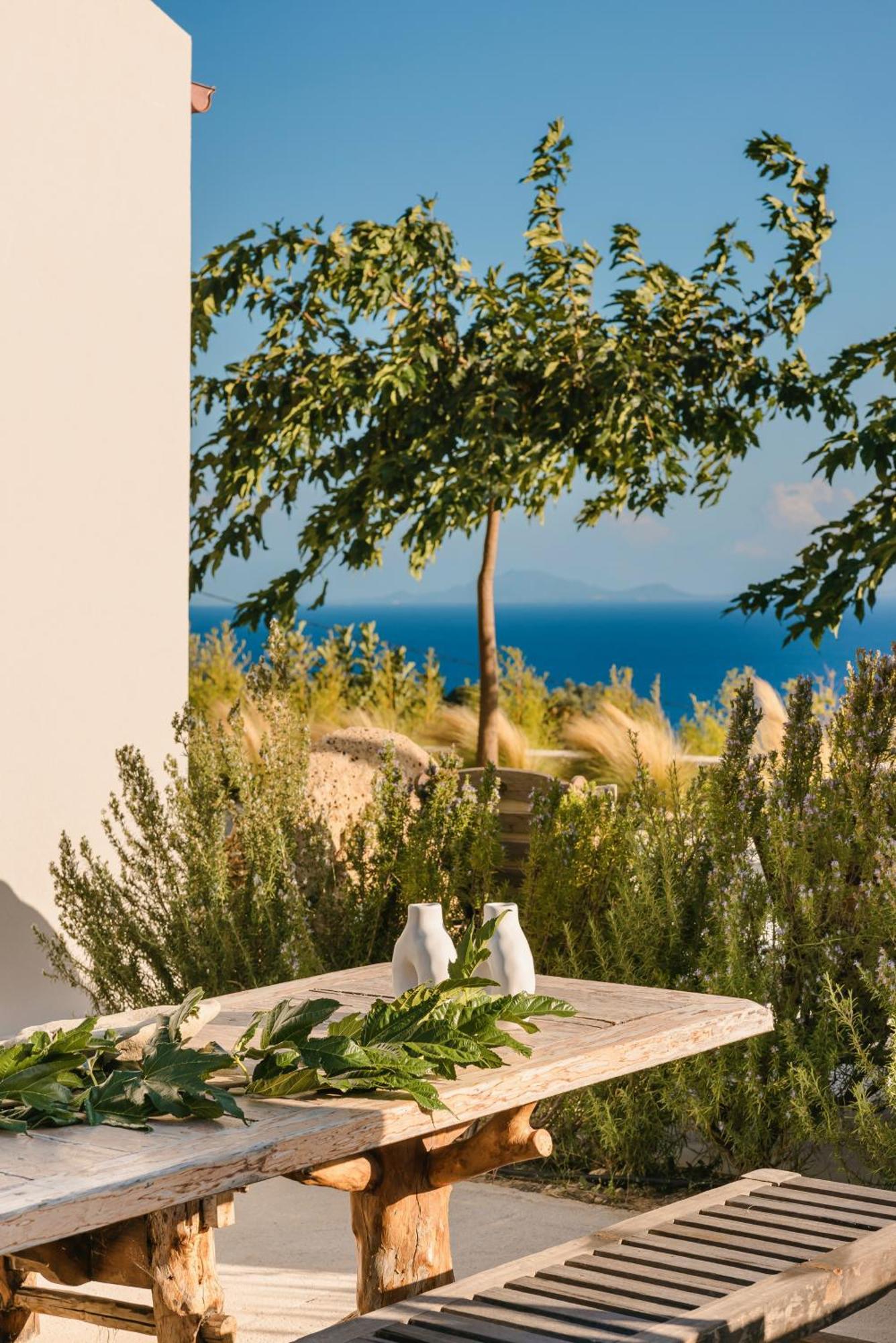 Spathes Suites Kefalonia - Luxury Suites Ratzaklíon エクステリア 写真