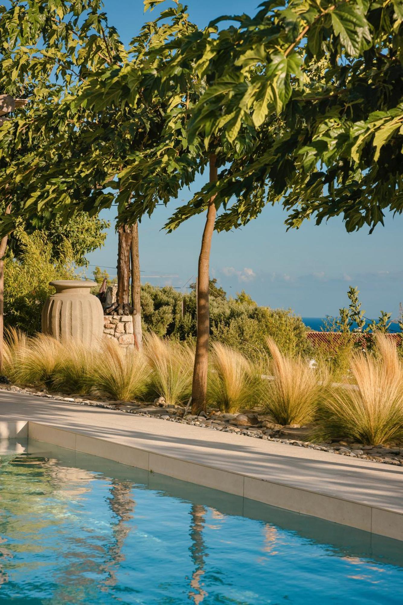 Spathes Suites Kefalonia - Luxury Suites Ratzaklíon エクステリア 写真