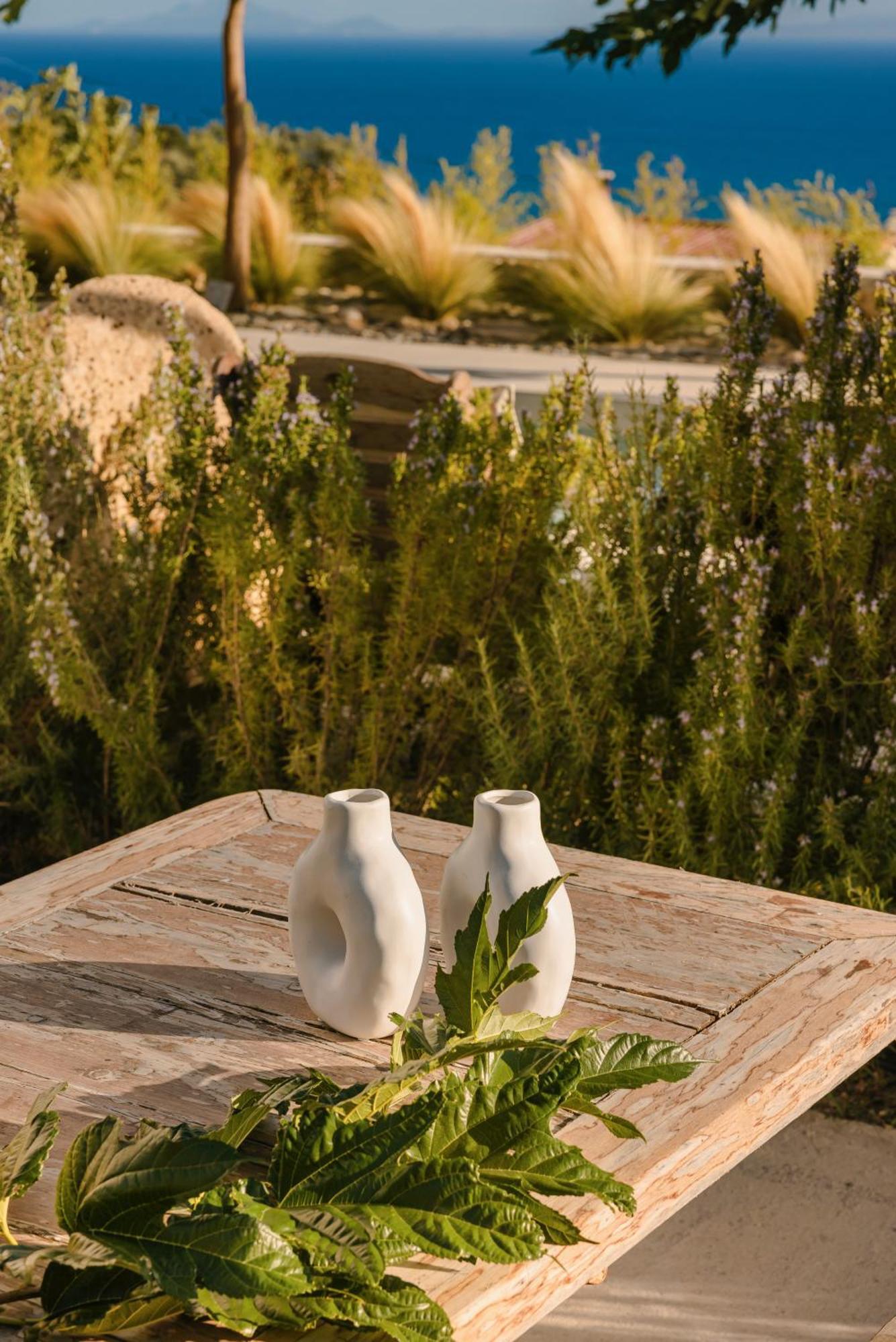 Spathes Suites Kefalonia - Luxury Suites Ratzaklíon エクステリア 写真