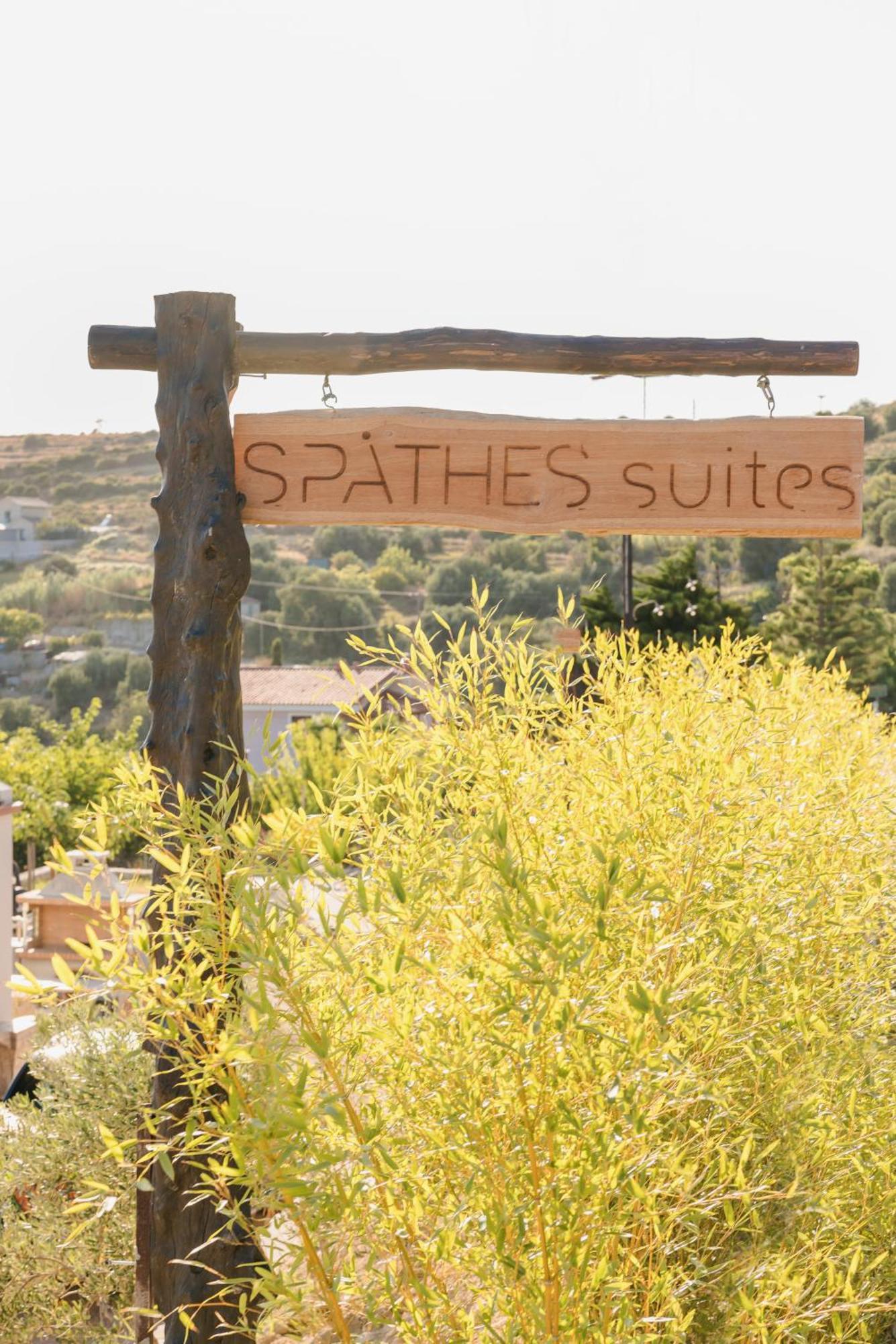 Spathes Suites Kefalonia - Luxury Suites Ratzaklíon エクステリア 写真